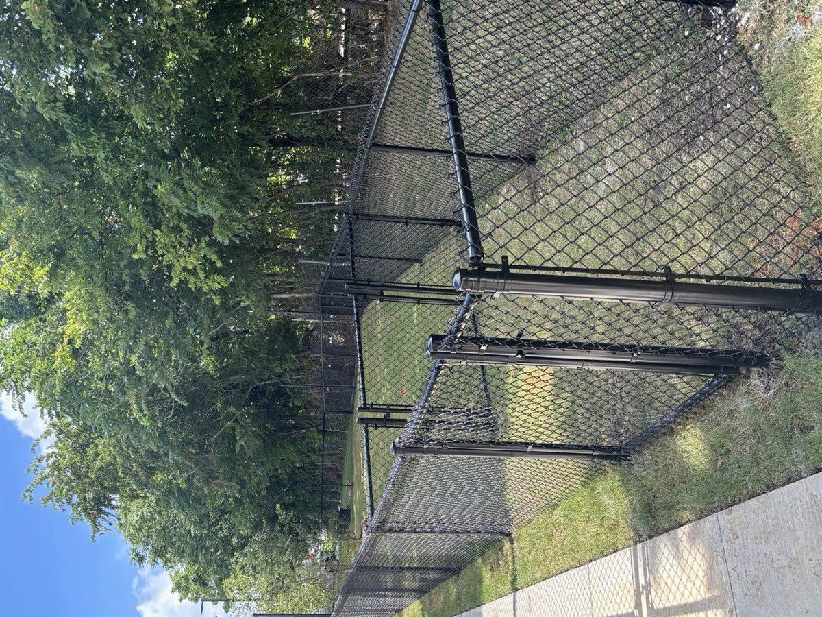 Black vinyl chain link residential fence installed by Thomas Fence in Rogers, Arkansas