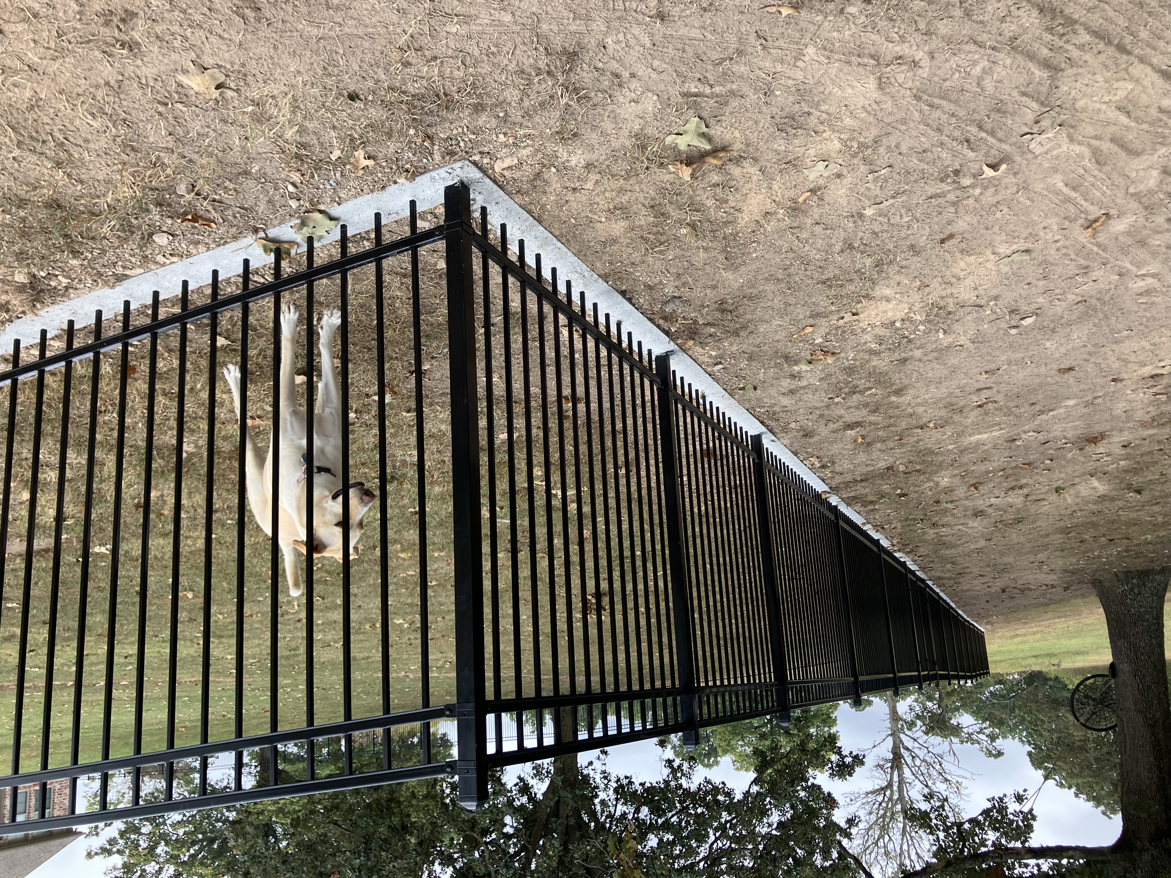 Ornamental steel fence installation — Thomas Fence, Springdale, Arkansas